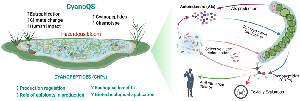 Natural products: Biosynthesis and regulation | Algatech